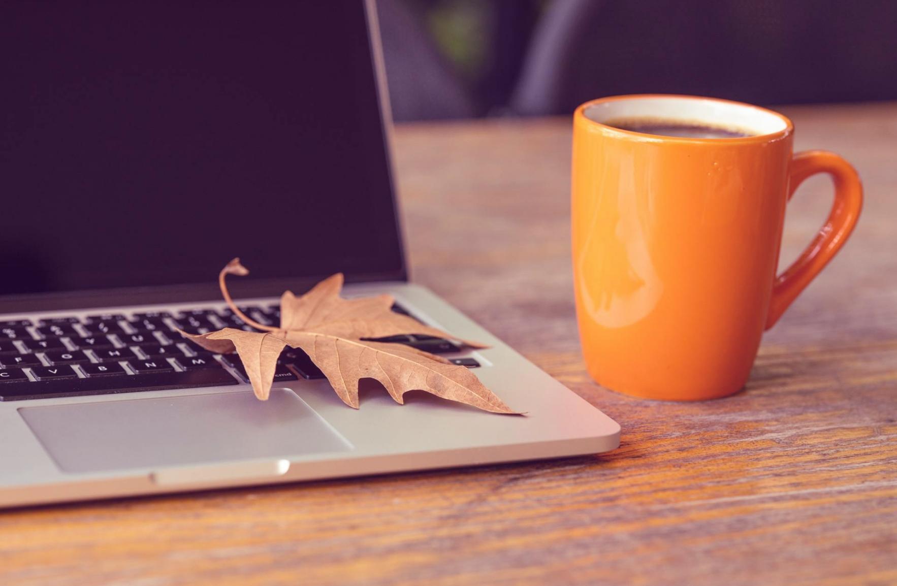 Espacio de trabajo con herramientas de análisis SEO y planificación de contenido